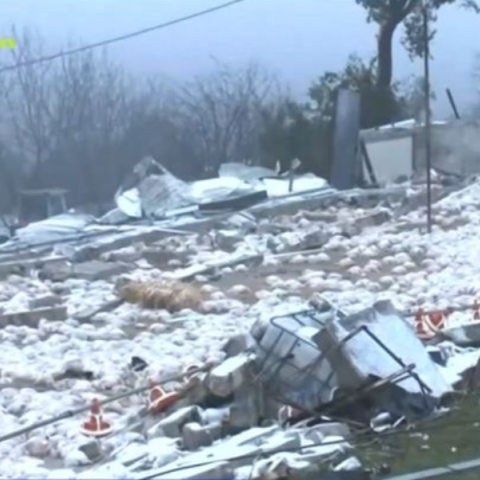 Νεκρά 40.000 κοτόπουλα από ανεμοστρόβιλο στο Καλπάκι Ιωαννίνων