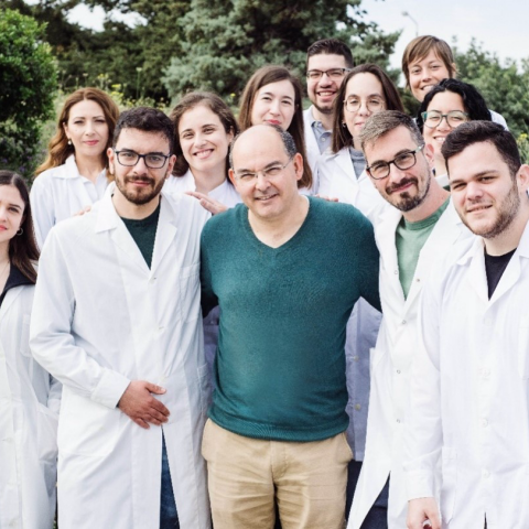 Ασπίδα ενάντια σε θανατηφόρες μυκητιάσεις η πιο άφθονη πρωτεΐνη στο ανθρώπινο αίμα