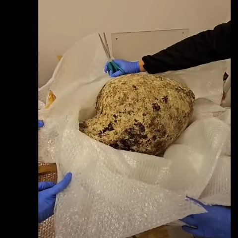 Αρχαίο αντικείμενο 