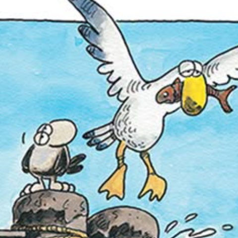 arkas