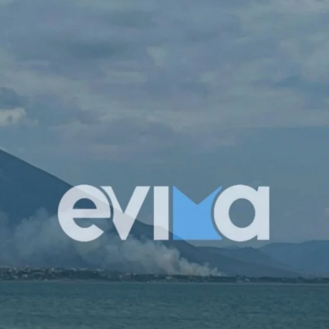 Φωτιά τώρα στην Εύβοια