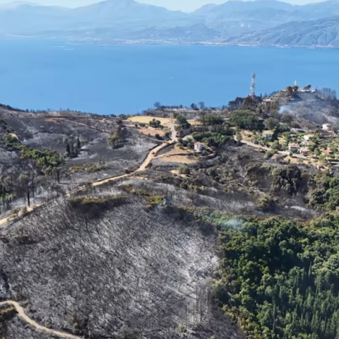 Φωτιά στη Φωκίδα