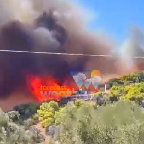 Φωτιά στη Σαλαμίνα