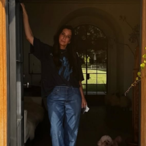 bullock