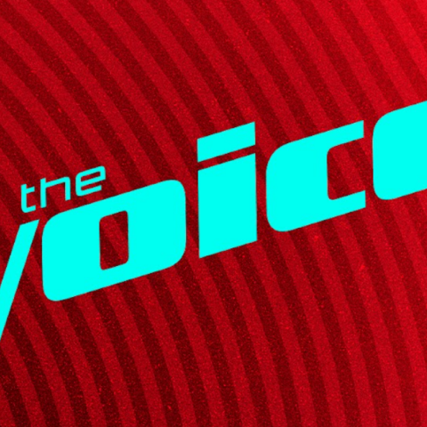 voice