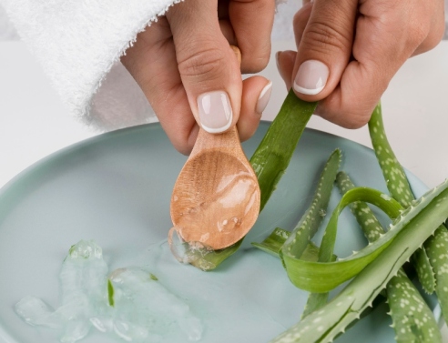 Αλόη Βέρα: Όσα μπορείς να κάνεις με μια μόνο γλάστρα στο σπίτι σου