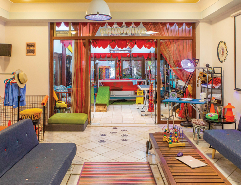 Dog n' Roll pet grooming