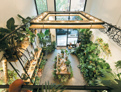 Rizom Athens, μια urban ζούγκλα κάτω από τον Παρθενώνα 