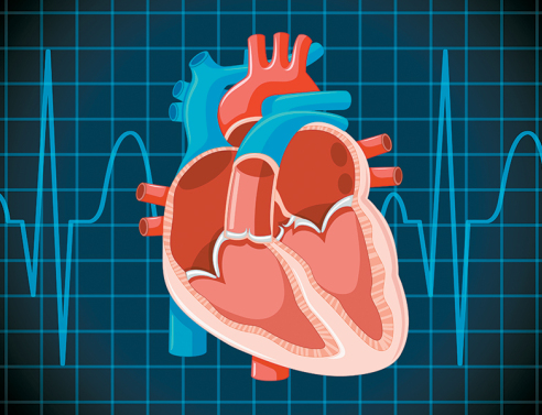 Διαδερμική επεμβατική θεραπεία: Το μέλλον στην αντιμετώπιση της καρδιακής ανεπάρκειας