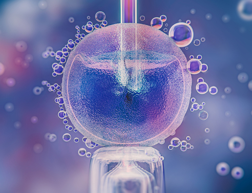 Όλα όσα θα θέλατε να μάθετε για την κρυοσυντήρηση ωαρίων