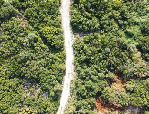 Φάρμα Λαφιωτάκη