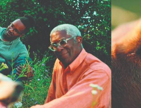 Boehringer Ingelheim