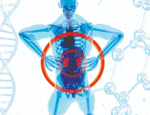 Χρόνια Νεφρική Νόσος: Η σημασία της διάγνωσης