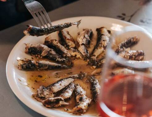 Το Θεραπευτήριο