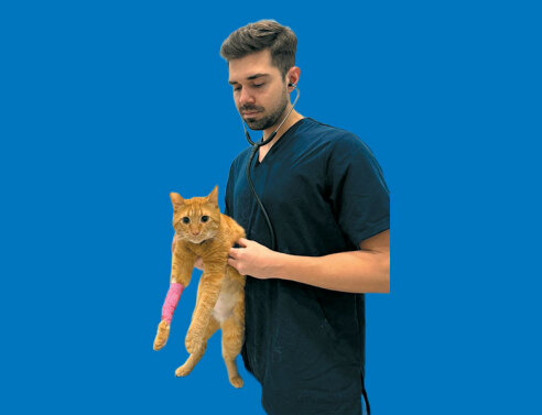 YourVet: Κατ’ οίκον κτηνιατρική φροντίδα