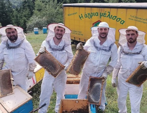 Άγρια Μέλισσα