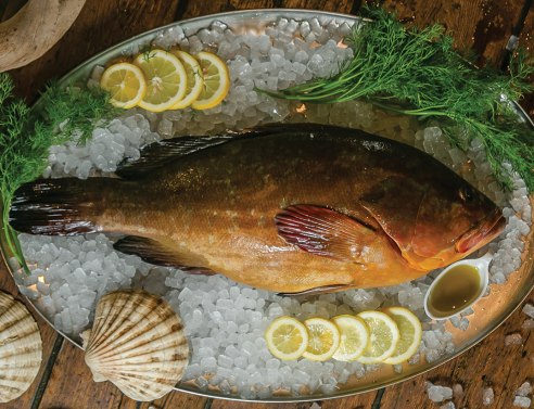 Θαλασσινός: Η θρυλική ψαροταβέρνα στις Τζιτζιφιές