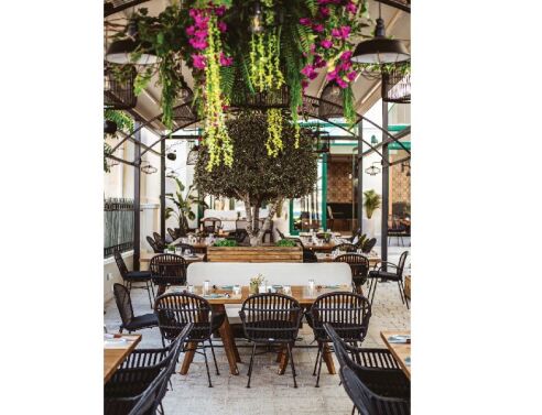  Κουτσή Κατσίκα