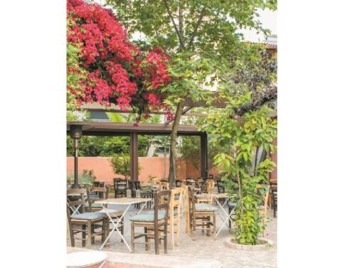 Αυλή, Πετράλωνα