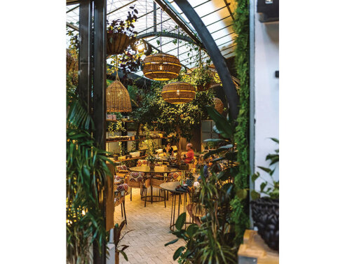 Λεύκες on the side