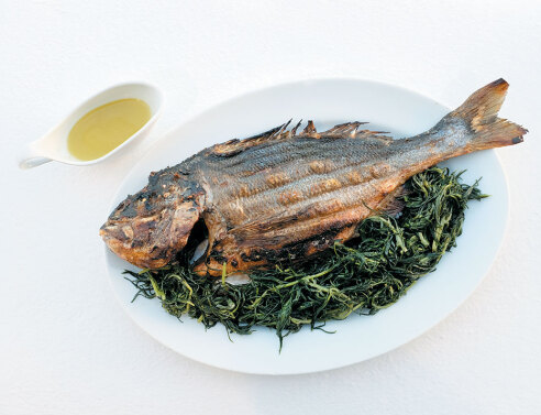 Αυλή - Δονούσα