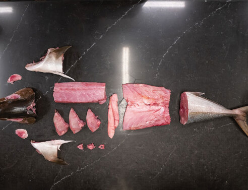 Βασίλαινας