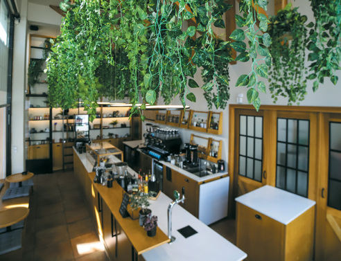 Art Coffee Shop: Η νέα άφιξη στην Πετρούπολη