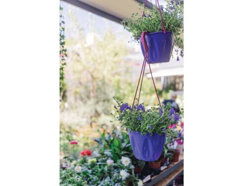 Green Art: Το Περιστέρι έχει το δικό του μπουτίκ φυτοπωλείο