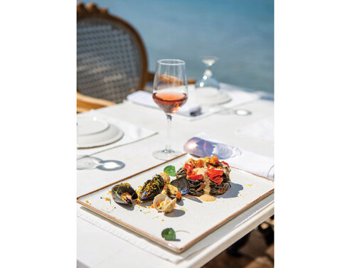 Ark: Σε αυτή την «Κιβωτό» θα ερωτευτείς τα Νότια