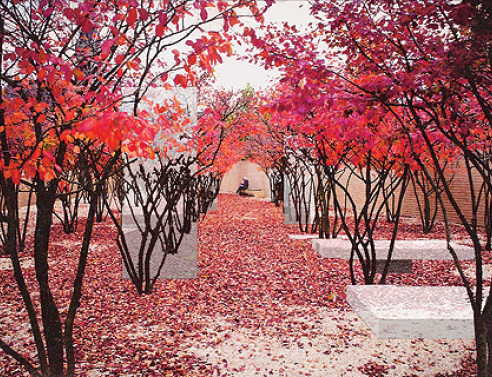 Η πρόταση της Ανδρονίκης Γιαννάτου είναι η πρώτη που θα υλοποιηθεί