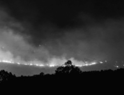 Edito: Πάρνηθα, το ολοκαύτωμα