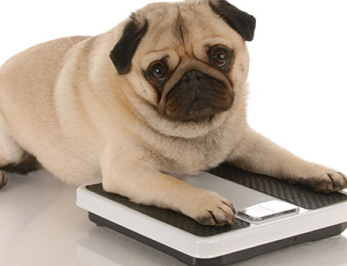 10 μικρά tips για αδυνάτισμα