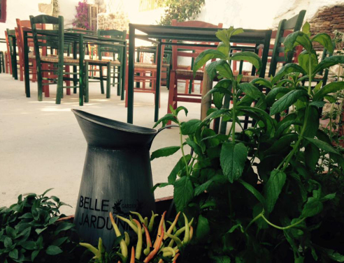 Ένας Μυστικός Κήπος στο Χαλάνδρι