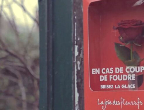 7 ερωτικές ιστορίες που κλέβουν καρδιές