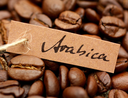 Επιστήμονες αποκωδικοποίησαν το DNA της δημοφιλέστερης ποικιλίας καφέ στον κόσμο
