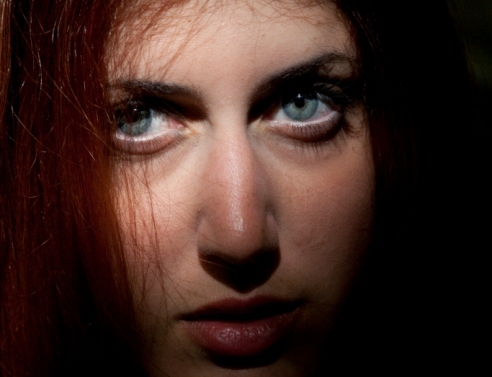 Καλλιρρόη Παρούση, «Κανείς δεν μιλάει για τα πεύκα» 