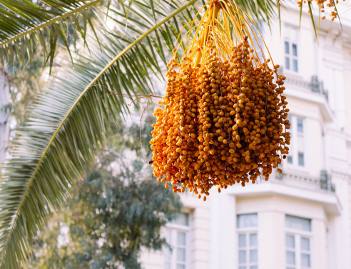 Στην Αθήνα, με το βλέμμα ψηλά   