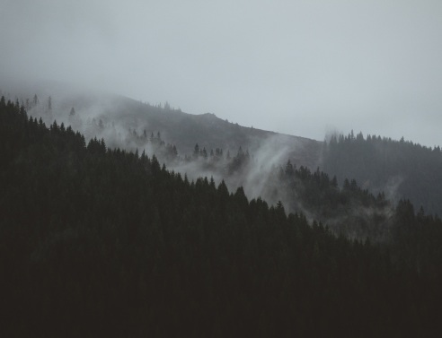 Αν δεν έχεις διαβάσει την «Ανάσταση» του Τολστόι, δεν έχεις διαβάσει τίποτα