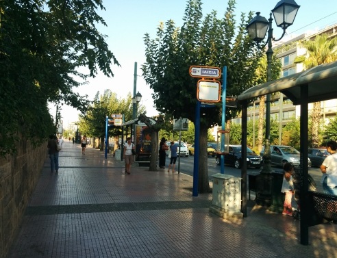 Ξενάγηση στα Άνω Ιλίσια 