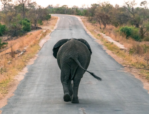 H Νότια Αφρική θα μείνει στην καρδιά σου μια ζωή
