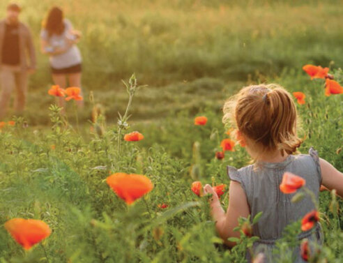 Η 1η Έκθεση Βιώσιμης Ανάπτυξης της MSD, σύμφωνα με τα πρότυπα GRI G4