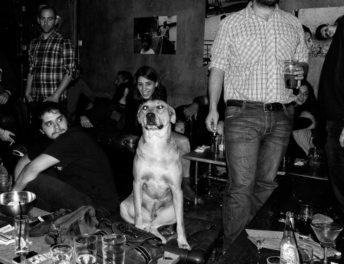 Οι σκύλοι του Hoxton