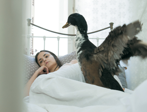 Τι θα δούμε φέτος στο θέατρο Πορεία