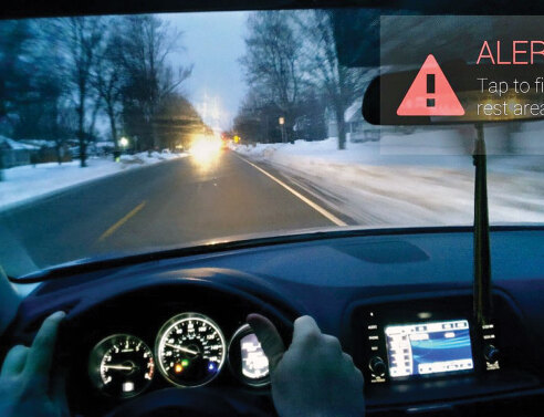 Άγρυπνος φρουρός