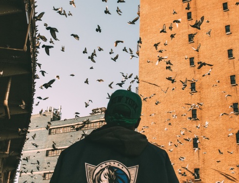 18 εικόνες από τη Νέα Υόρκη που δεν θα ξεχάσει ο Πέτρος Πουλόπουλος 