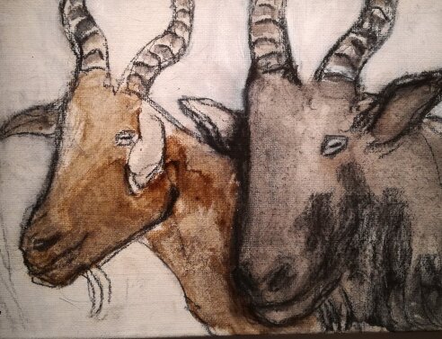 Ποιος γέμισε με τράγους το Κολωνάκι;