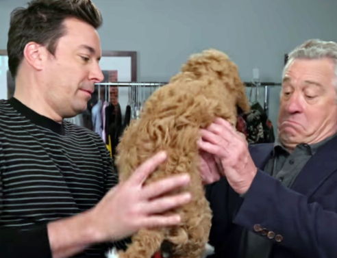 Ο Ρόμπερτ Ντε Νίρο υποκρίνεται ότι δεν έχει ξαναδεί σκύλο και δίνει ρεσιτάλ ηθοποιίας (video)