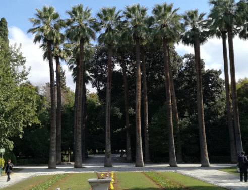 Ο Εθνικός μας Κήπος