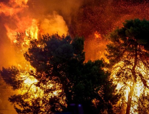 Πυρκαγιές: Ένας πρώτος απολογισμός μιντιακού κανιβαλισμού και fake news