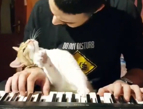 Σε αγαπώ μέχρι εκεί που φτάνουν τα πλήκτρα (video)